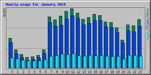Hourly usage for January 2019